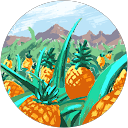 দ্বীনের পথে profile picture